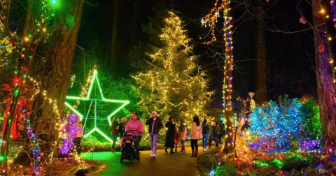 The Larger-Than-Life Holiday Light Experience That's Illuminating Oregon This Winter