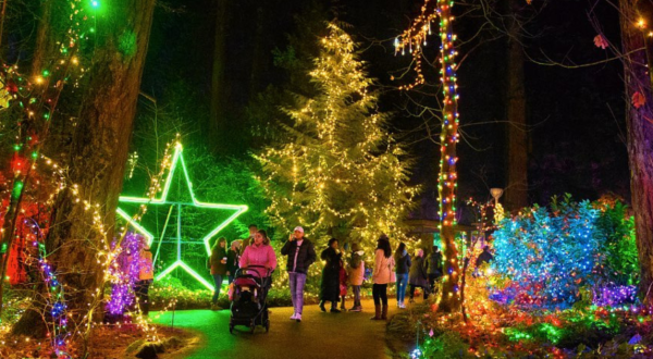 The Larger-Than-Life Holiday Light Experience That’s Illuminating Oregon This Winter