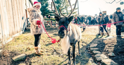 The Tannenbaum Forest Festival In Iowa That's Straight Out Of A Hallmark Christmas Movie