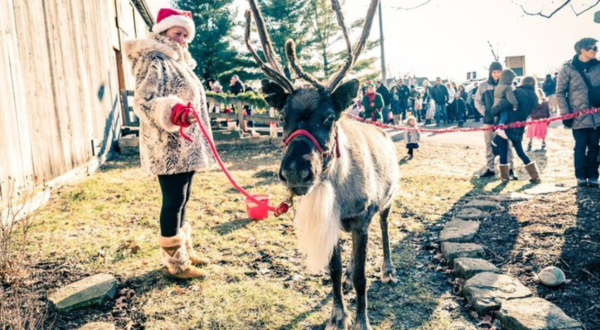 The Tannenbaum Forest Festival In Iowa That’s Straight Out Of A Hallmark Christmas Movie