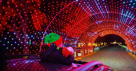 The Westchester Winter Wonderland Is Coming To New York This Winter