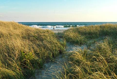 This Secluded Beach Preserve In Rhode Island Is So Worthy Of An Adventure