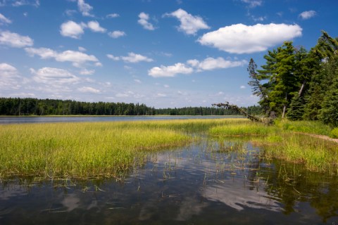 Lake Itasca Is A Scenic Outdoor Spot In Minnesota That's A Nature Lover’s Dream Come True