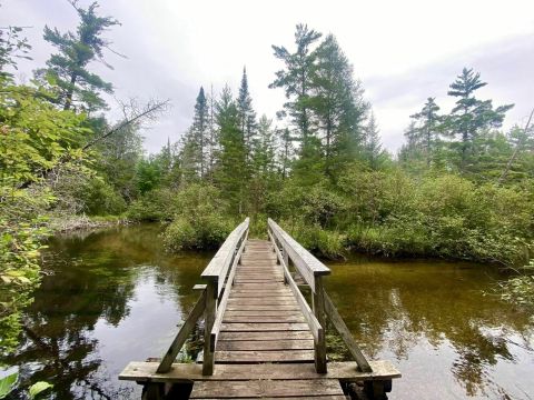 An Easy But Gorgeous Hike, AuSable River Trail Leads To A Little-Known River In Michigan