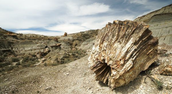 This Secluded Petrified Forest In North Dakota Is So Worthy Of An Adventure