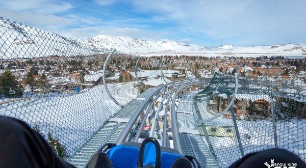 You’ll Reach Speeds Of Up To 25 MPH On Wyoming’s Epic Snow King Mountain Coaster