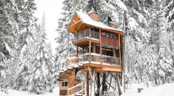 This Glacier National Park Treehouse Will Take Your Montana Glamping Experience To A Whole New Level