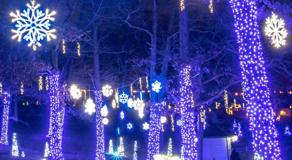 The Holiday Lights At Grant’s Farm Is One Of Missouri’s Brightest And Most Dazzling Drive-Thru Light Displays