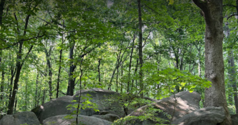 Wander Through 22 Acres Of Rock Formations At Big Rock Nature Preserve In North Carolina