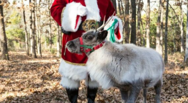 Donner And Blitzen Will Visit You This Holiday Season At Your Very Own Christmas Event In Oklahoma