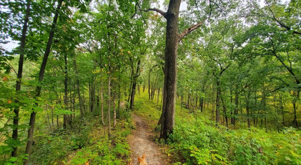 West Beach 3-Loop Trail Is An Easy Hike In Indiana That Will Lead You Someplace Unforgettable