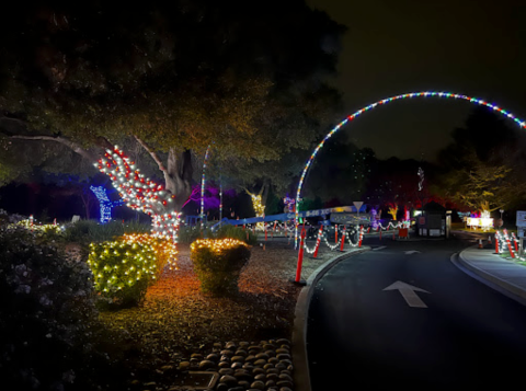The Fantasy Of Lights Drive-Thru Is Returning To Northern California This Winter