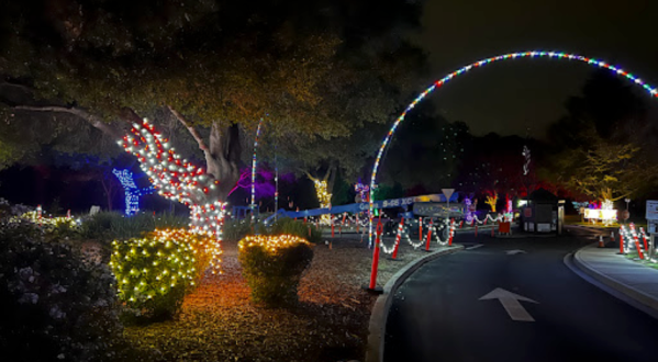 The Fantasy Of Lights Drive-Thru Is Returning To Northern California This Winter