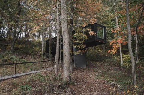 The Treehouse Village In Ohio Is So Special It's At The Top Of Airbnb's Most Wished-For Stays
