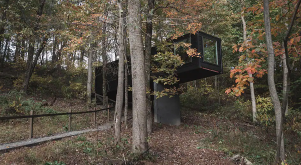 The Treehouse Village In Ohio Is So Special It’s At The Top Of Airbnb’s Most Wished-For Stays
