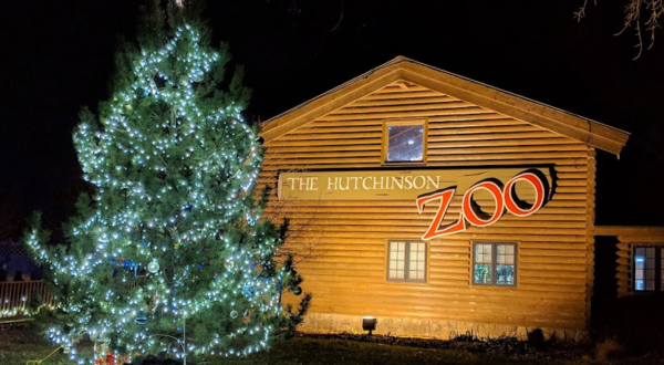 The Larger-Than-Life Nights Before Christmas Light Show Is Coming To Kansas This Winter