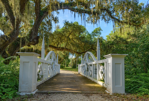 This Secluded Oak-Lined Historic Park In Florida Is So Worthy Of An Adventure