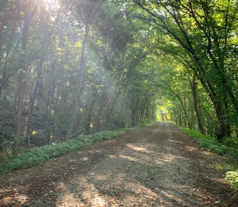 This Secluded And Scenic Trail In Kansas Is So Worthy Of An Adventure