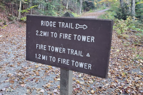 The Little-Known Fire Tower In Vermont You Can Only Reach By Hiking This 5.4 Mile Trail
