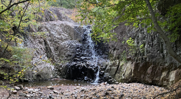 7 Cool And Calming Hikes To Take In New Jersey To Help You Reflect On The Year Ahead