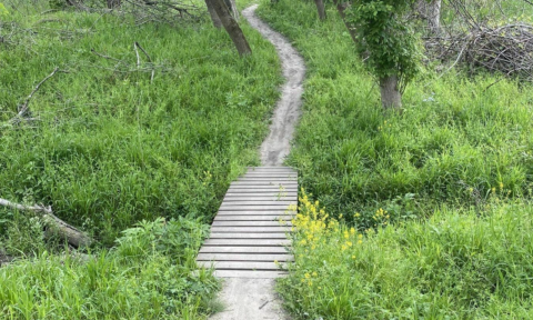 Follow This 6.1 Mile Easy Trail In Iowa To A Forest