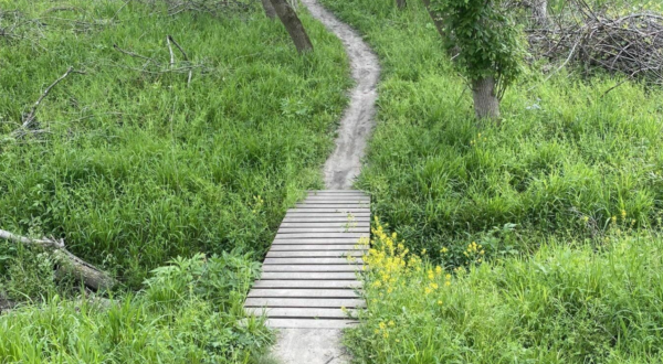 Follow This 6.1 Mile Easy Trail In Iowa To A Forest