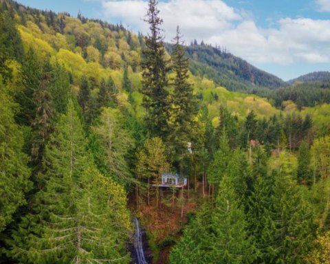 Spend The Night In A Treehouse Airbnb With A Waterfall Right Here In Washington