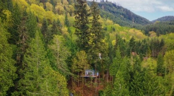 Spend The Night In A Treehouse Airbnb With A Waterfall Right Here In Washington