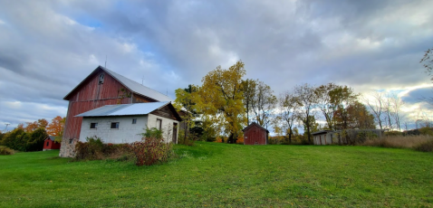 The Little-Known Historic Farmstead In Michigan You Can Reach By Hiking This 1.5-Mile Trail