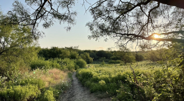 Take An Easy Loop Trail Past Some Of The Prettiest Scenery In Texas On Arbor Hills Nature Preserve Trail