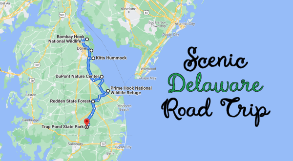 This 90-Mile Road Trip Leads To Some Of The Most Scenic Parts Of Delaware, No Matter What Time Of Year It Is