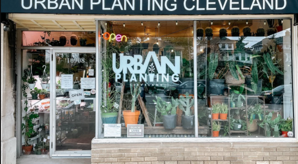 It’s Tropical And Verdant All Year Round At Urban Planting Cleveland