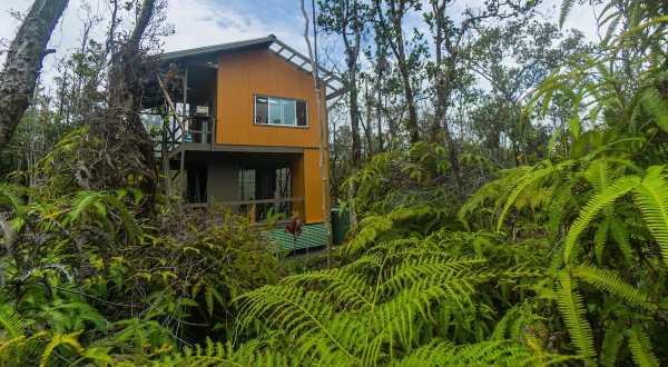 Spend The Night In An Airbnb That’s Inside An Actual Treehouse Right Here In Hawaii