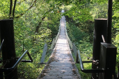 Most People Don’t Know There’s A Swinging Bridge Hiding Deep In Iowa's Woods