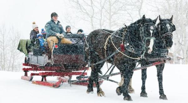 6 Horse-Drawn Sleigh Rides In Utah That Will Take You Through A Magical Winter Wonderland