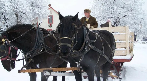 Live Out Your Favorite Christmas Story At Dickens: A Family Holiday Event In Colorado
