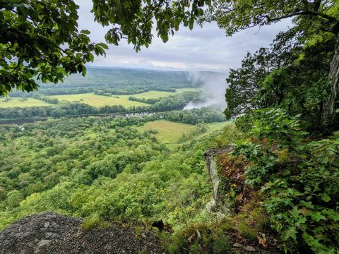 Cliff Trail Is A Gorgeous Forest Trail In Pennsylvania That Will Take You To A Hidden Overlook