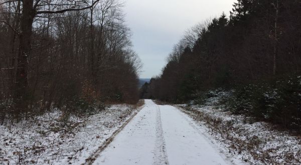 The Gorgeous 2.3-Mile Hike In New York’s Hammond Hill State Forest That Is Perfect For Winter