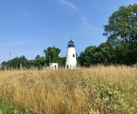 Take An Easy Out-And-Back Trail To Enter Another World At Elk Neck State Park In Maryland
