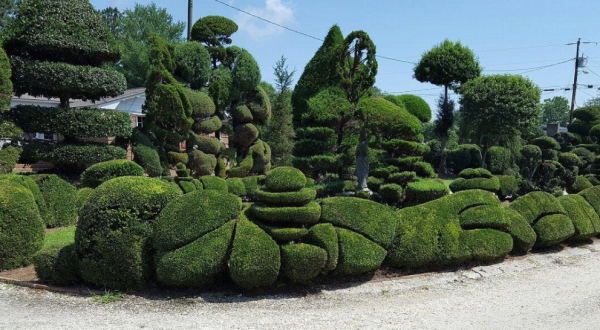 Take A Scenic Hike In South Carolina And Then Go Visit The Best Topiary Garden In The State