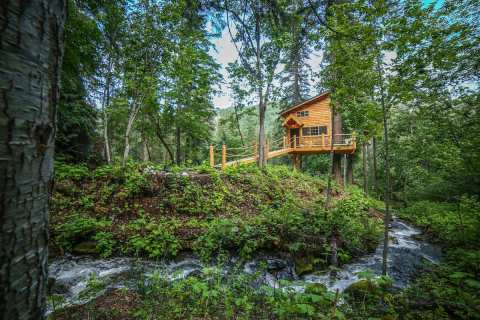 This Tree House Airbnb In Washington Comes With Its Own Rushing River