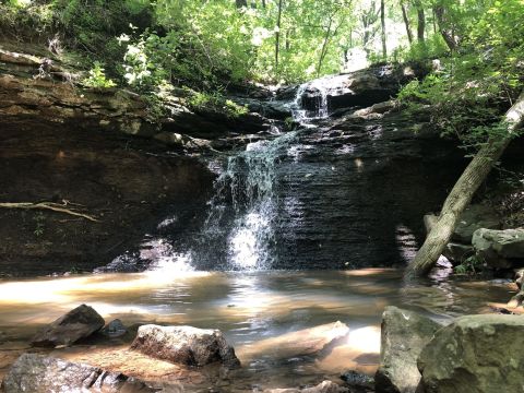 7 Easy Hiking Trails In Alabama That Lead To Stunning Scenery