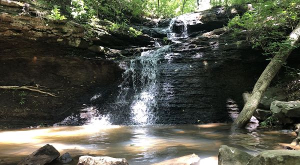 7 Easy Hiking Trails In Alabama That Lead To Stunning Scenery