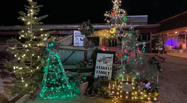 Christmastime On The Farm Is Back In Utah This Winter