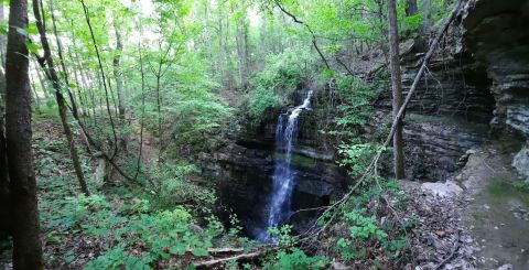 The Little-Known Waterfall In Alabama You Can Only Reach By Hiking This 2.8-Mile Trail