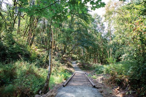 Newell Creek Canyon Nature Park Is The Newest Park In Oregon And It's Incredible