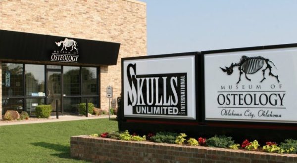 There’s A Skeleton Museum In Oklahoma And It’s Full Of Fascinating Oddities, Artifacts, And More