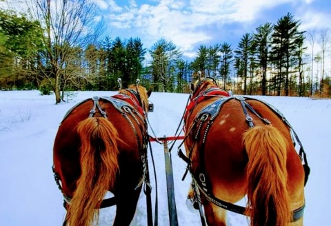 Ride Through New York's Wintery Landscape On A Horse-Drawn Open Sleigh At Circle B Ranch
