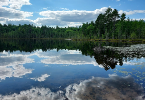 Spend The Day Exploring Dozens Of Glacial Lakes In Wisconsin's Largest State Forest