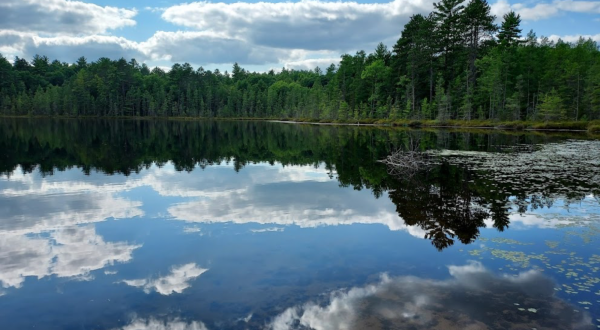 Spend The Day Exploring Dozens Of Glacial Lakes In Wisconsin’s Largest State Forest